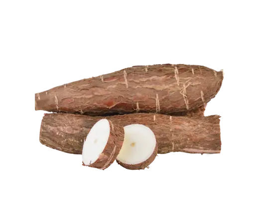 Tapioca